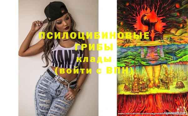 ешки Кукмор