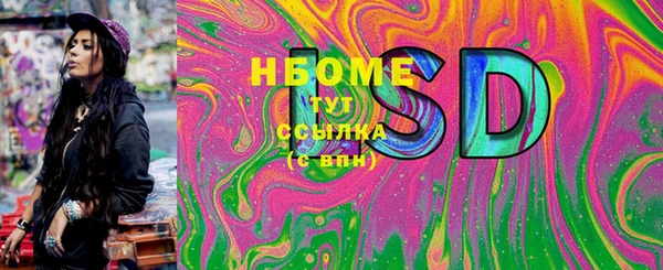 стаф Кулебаки