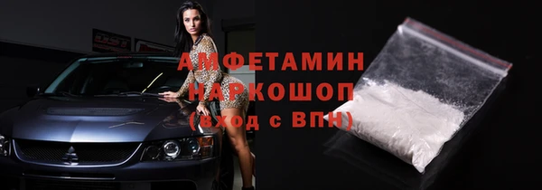 стаф Кулебаки