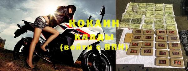крисы Куйбышев