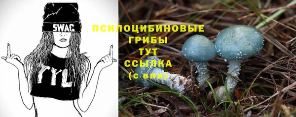 стаф Кулебаки