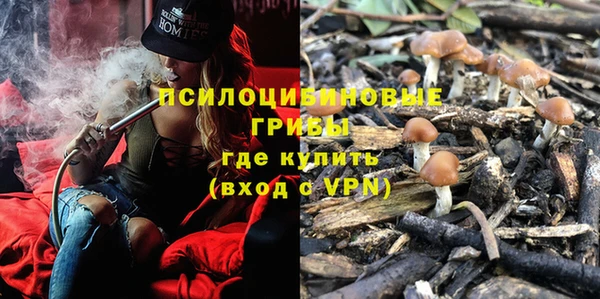 apvp Краснослободск