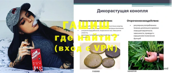 ешки Кукмор